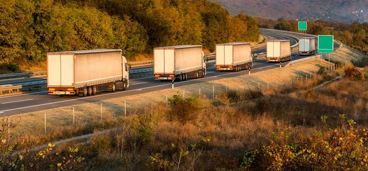 Jaki transport określa się symbolem LTL?