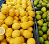 Особенности грузоперевозок  овощей и фруктов 